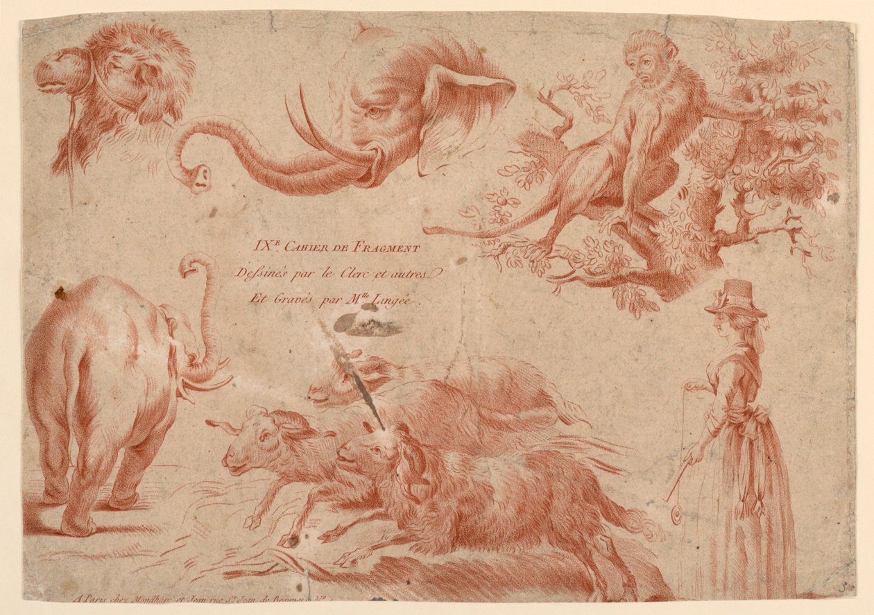 Page de titre, de "IXe Cahier de Fragment" - Therèse Éléonore Lingée