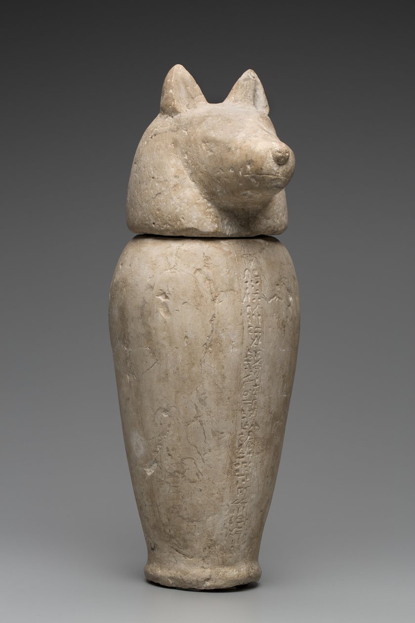 Vase canope à tête de chacal (calcaire) - Third Intermediate Period Egyptian
