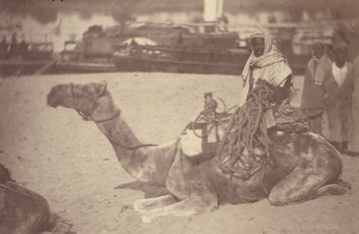 [ Un homme nord-africain sur un chameau au bord du Nil] - Théodule Devéria