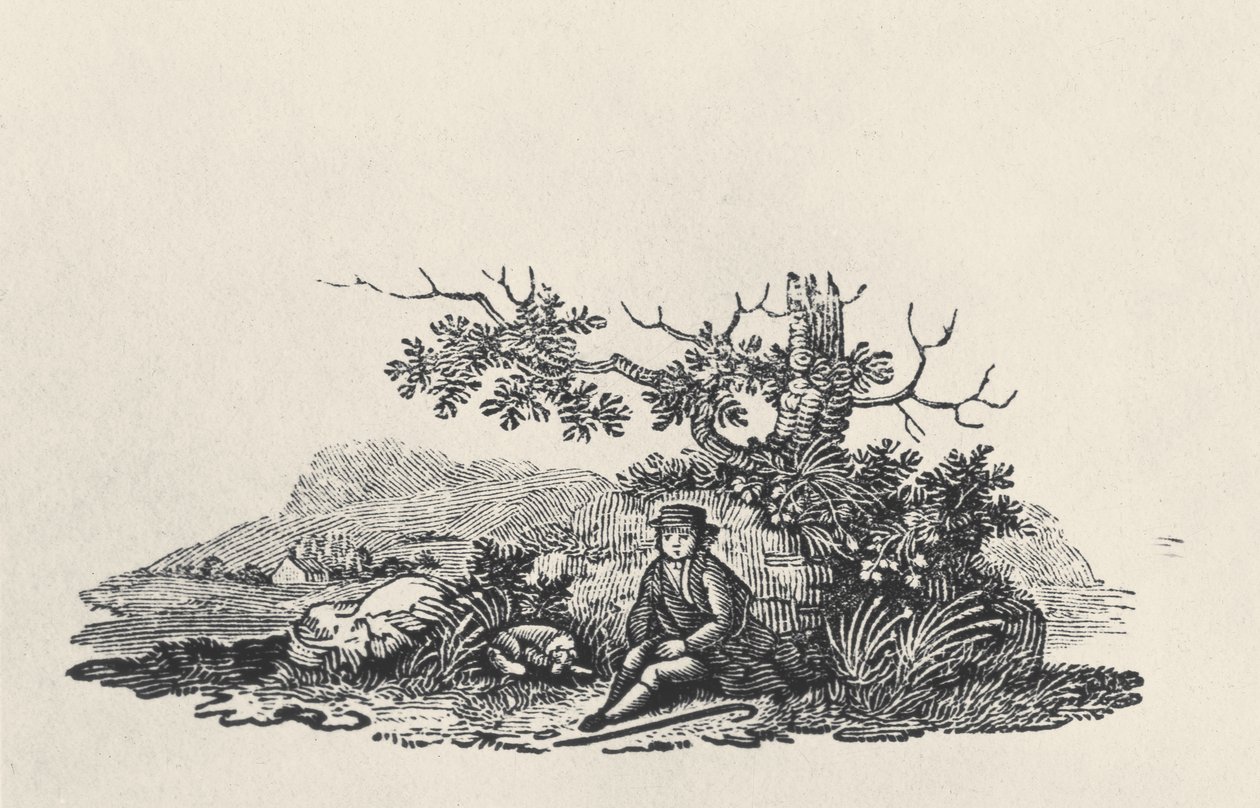 Un gentleman sous un arbre, de Land Birds, publié en 1797 - Thomas Bewick