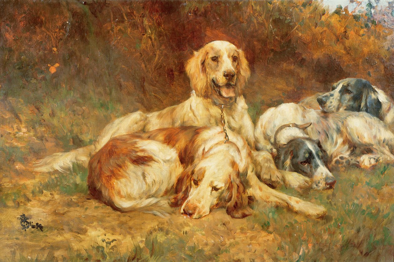 En attendant les canons - Thomas Blinks