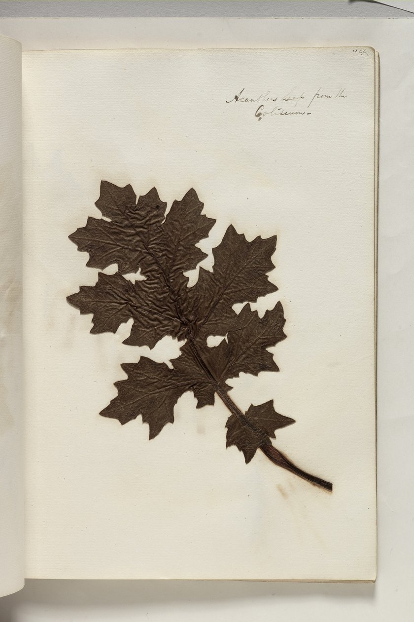 Feuille d