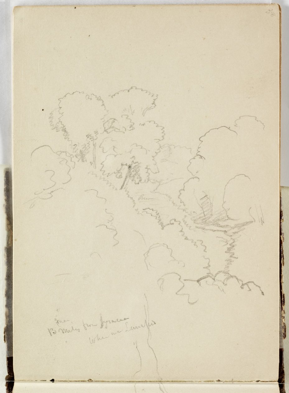 Sans titre - Thomas Cole