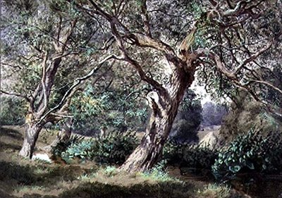Étude de Saules près d