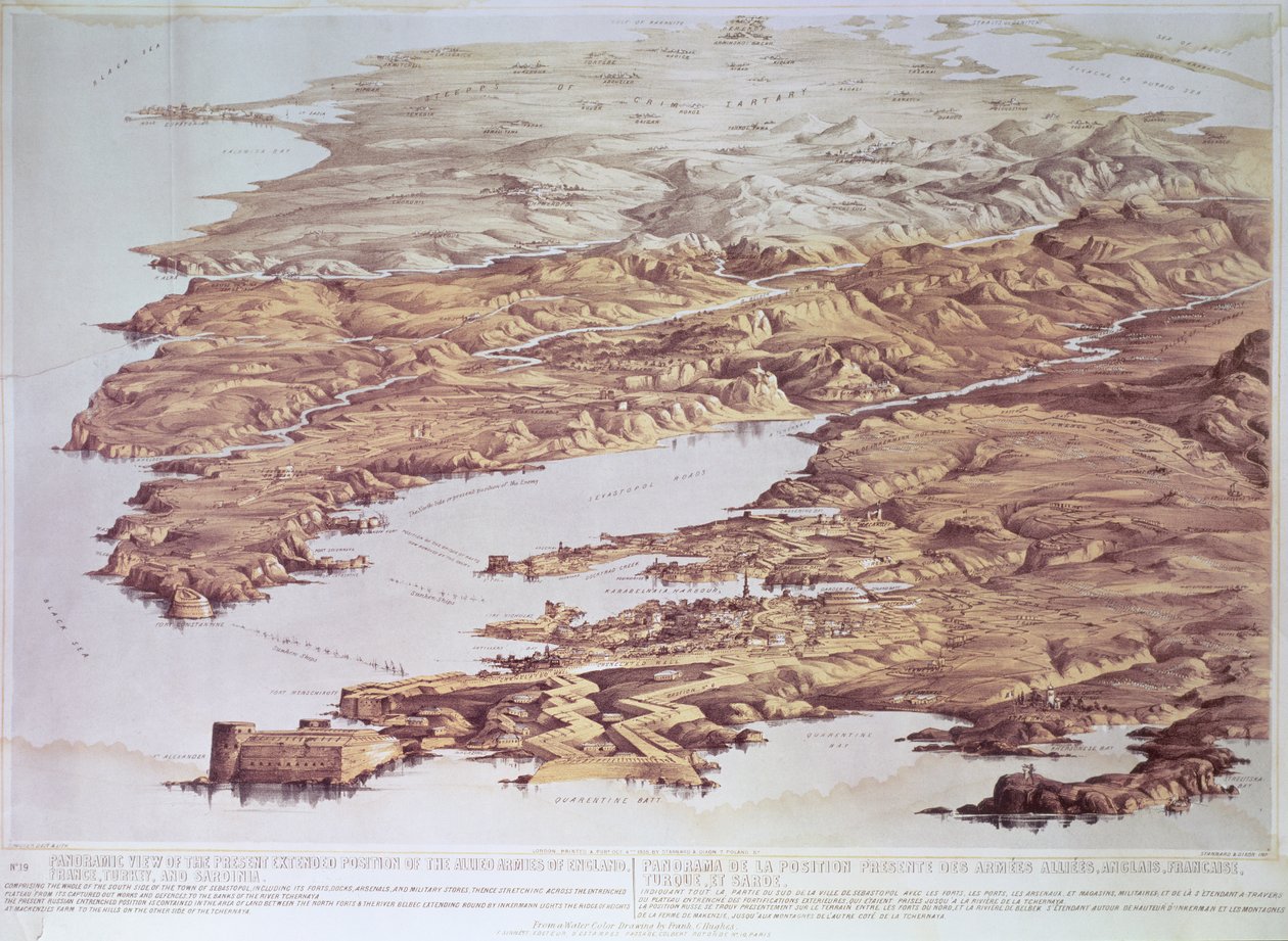 Vue panoramique de la position actuelle étendue des armées alliées d