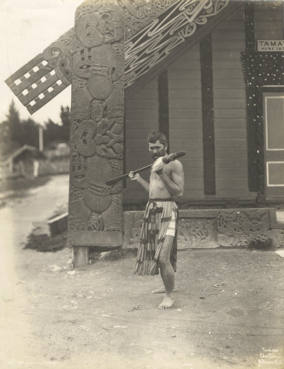 Whakaronu (Garde), 1905 - Thomas Pringle