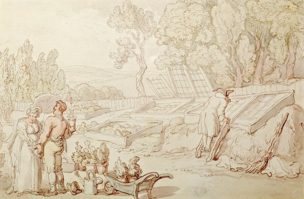 Le Jardinier amoureux - Thomas Rowlandson