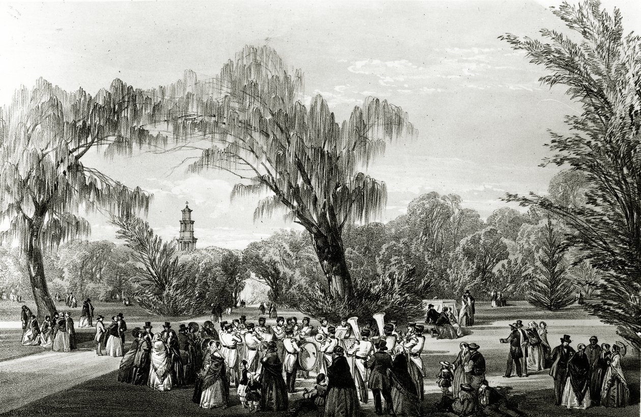 Jardins botaniques, Le Cap, imprimé par W. Simpson, vers 1850 - Thomas William Bowler