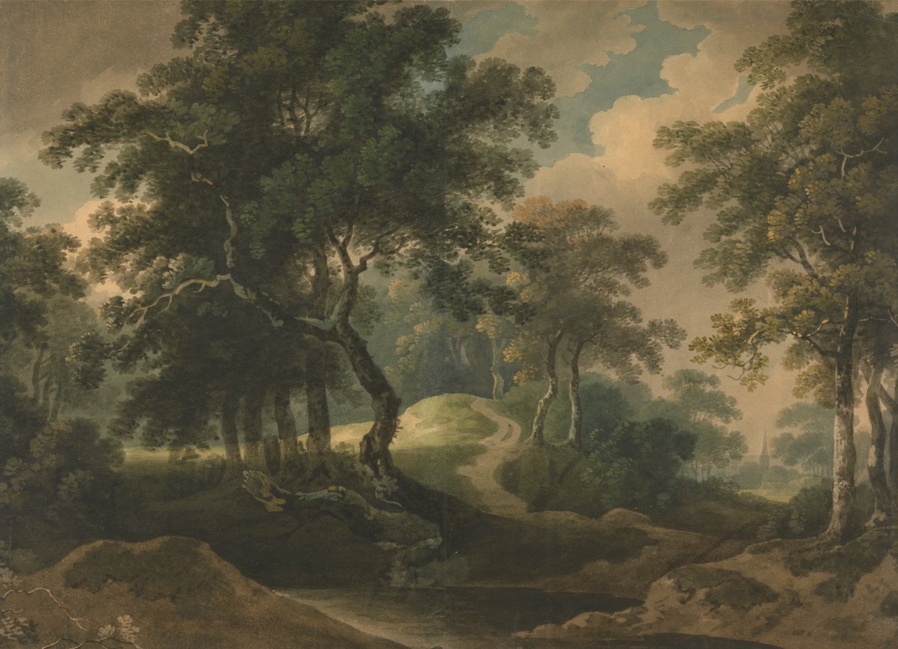 Paysage forestier - Thomas Barker