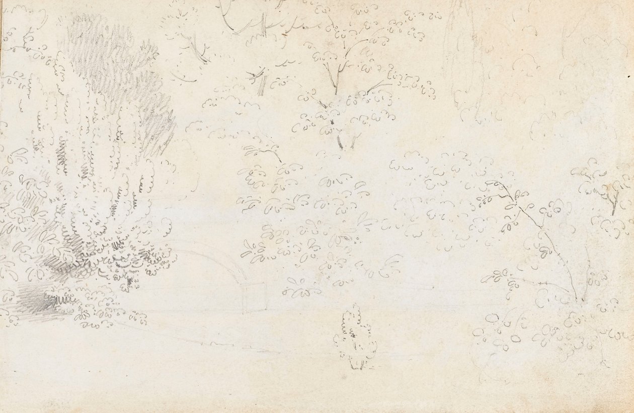 Étude en graphite du pont et des arbres depuis l