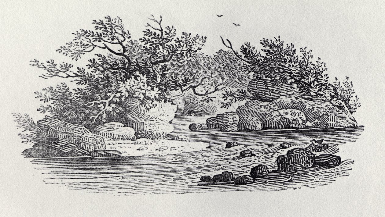 Un méandre de la rivière de 