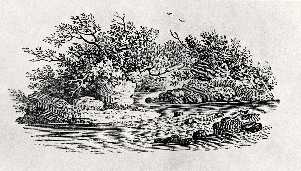 Un méandre de la rivière, de 