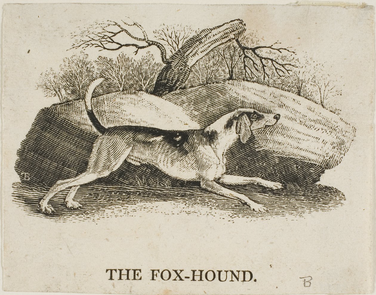 Chien de chasse - Thomas Bewick