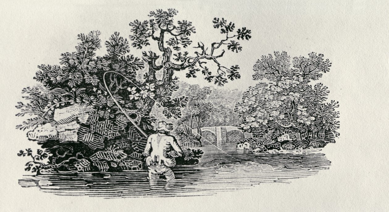 Pêcher un saumon de 