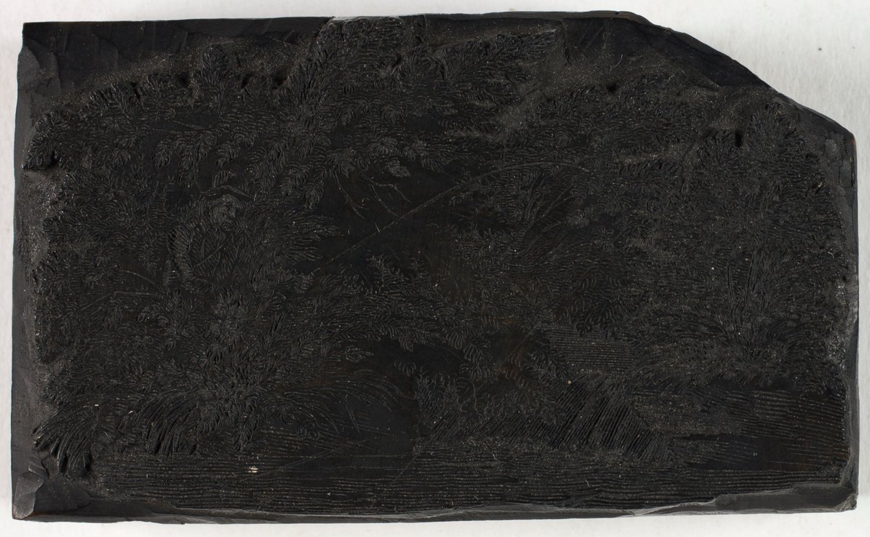 Gravure sur bois représentant un homme pêchant sous un arbre près d