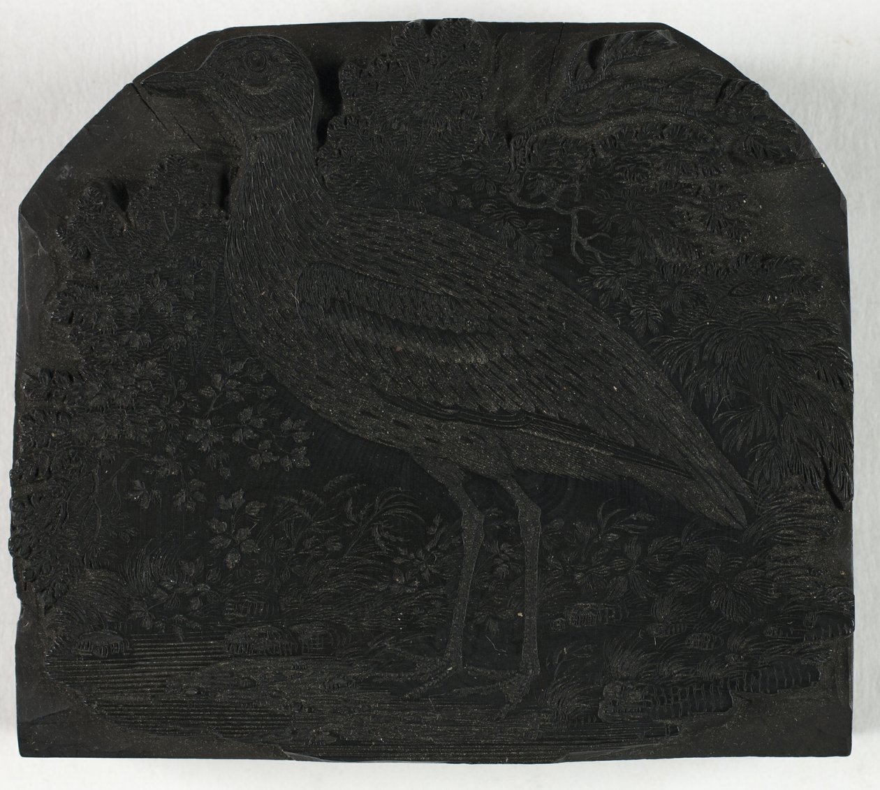 Bloc de bois pour Le Grand Pluvier, de Une Histoire des Oiseaux Britanniques - Thomas Bewick