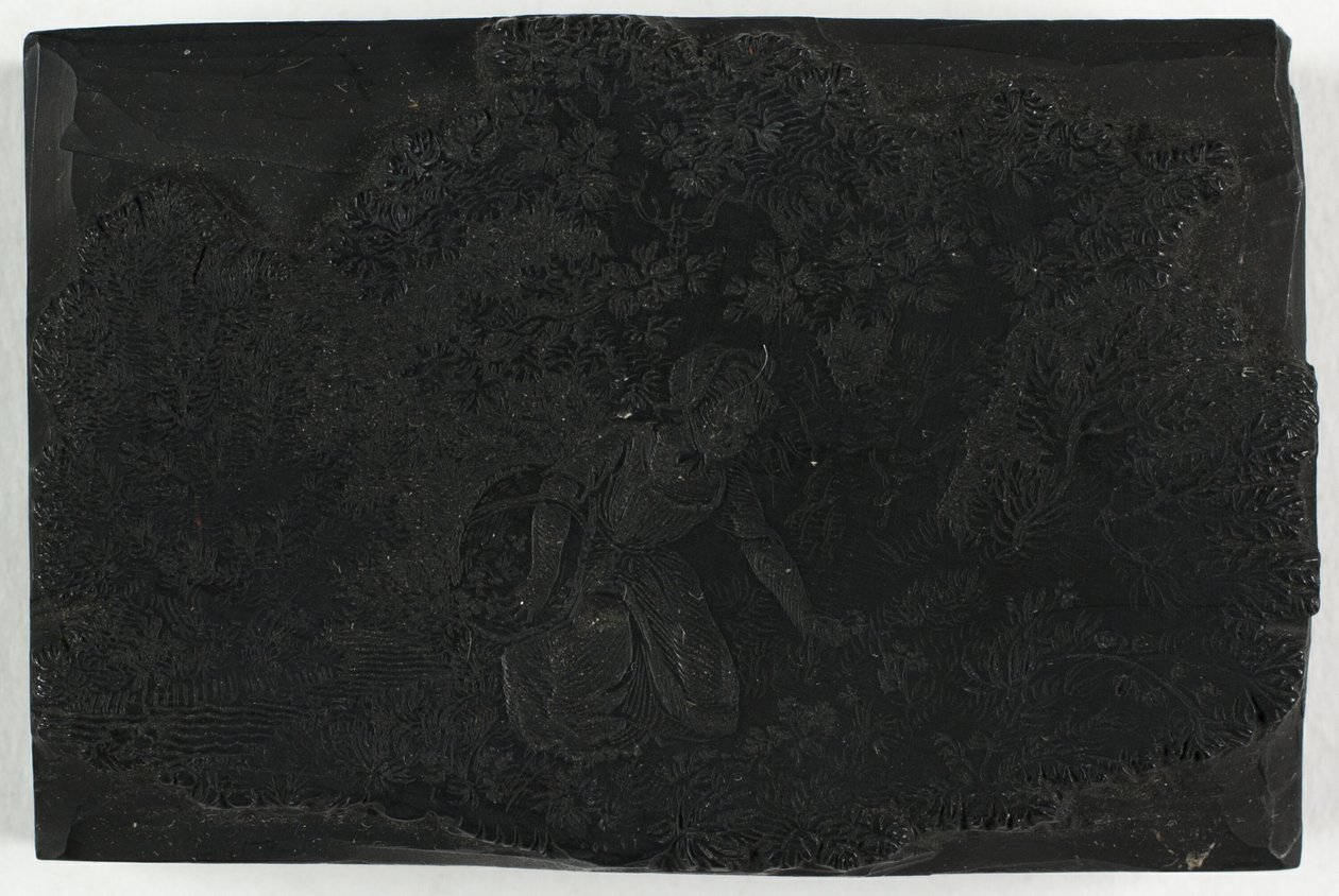 Bloc de bois pour femme cueillant des fleurs - Thomas Bewick