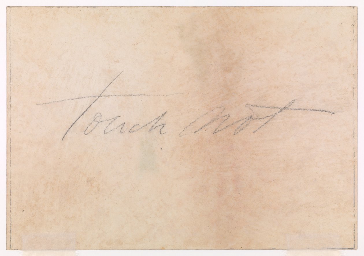 Burnham Beeches (en anglais) - Thomas Charles Farrer