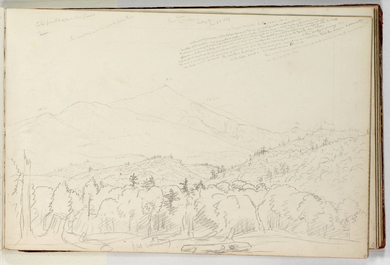Vue de la montagne Schroon regardant vers le nord, 28 juin - Thomas Cole