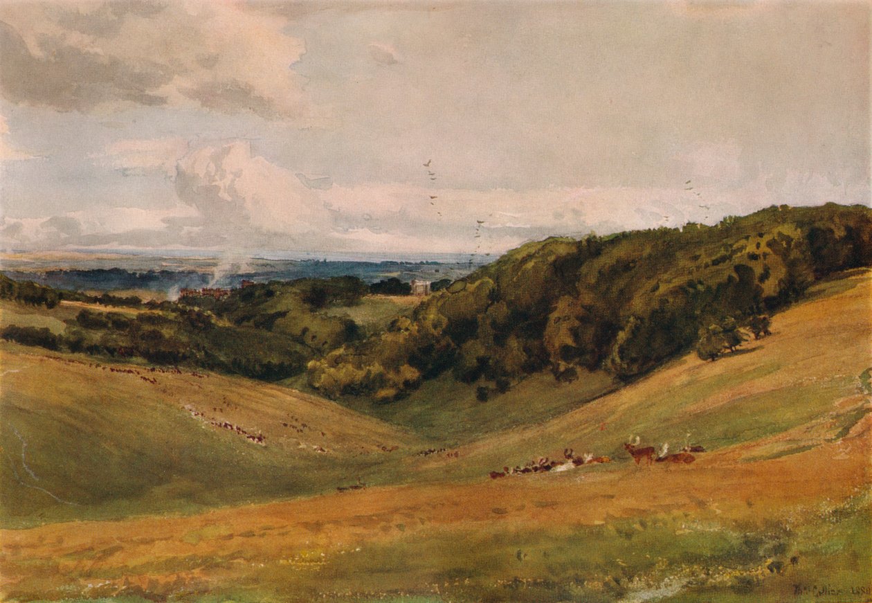 Parc d