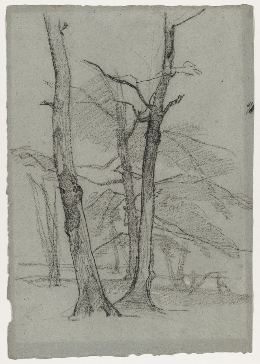 Étude de paysage avec arbres, vers 1870-1875 - Thomas Couture