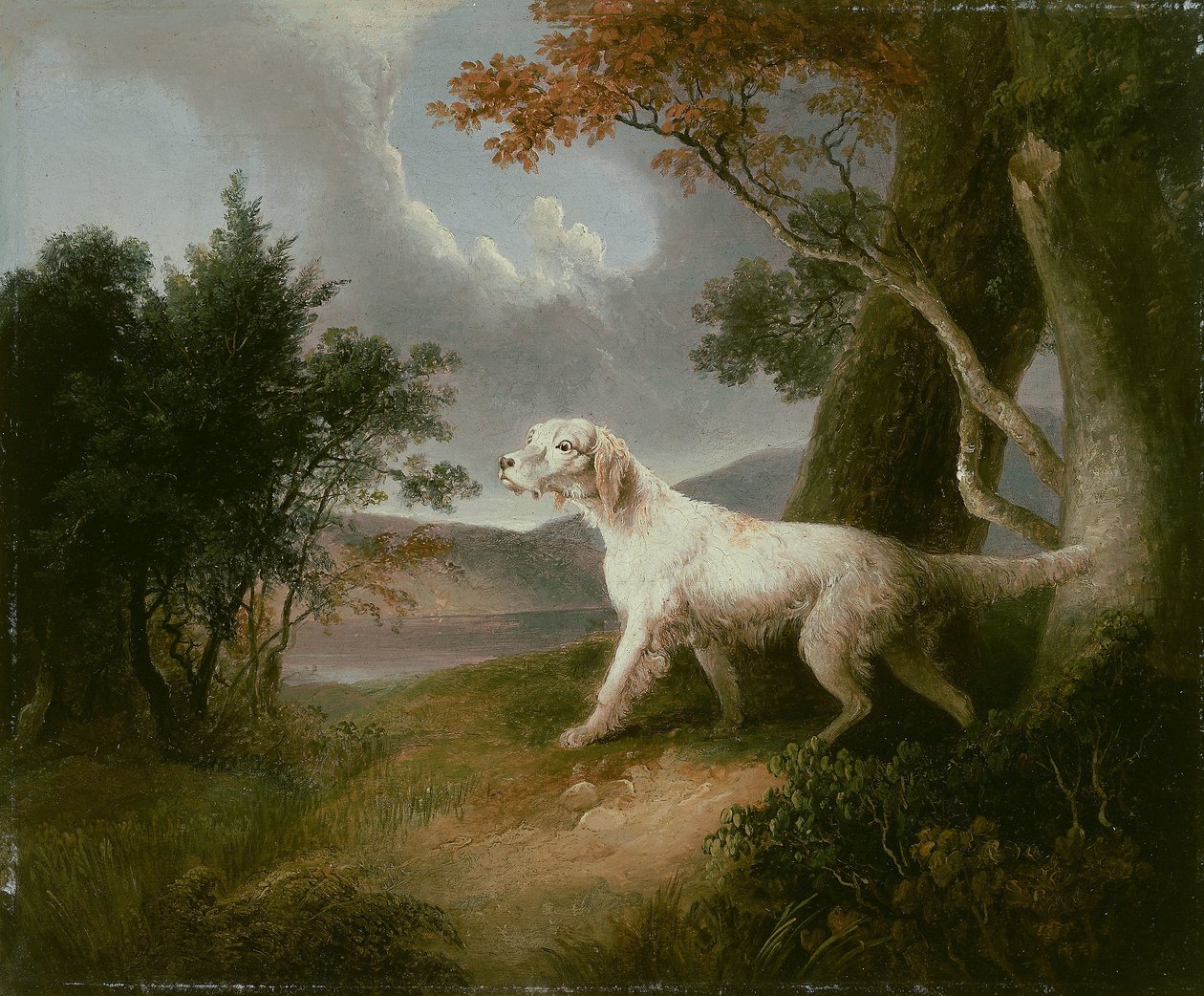Paysage avec chien - Thomas Doughty