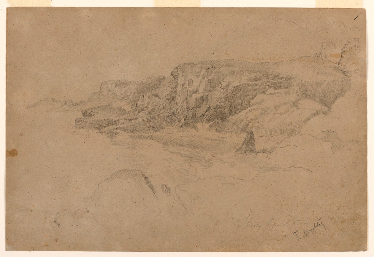 Étude de la nature - Thomas Doughty