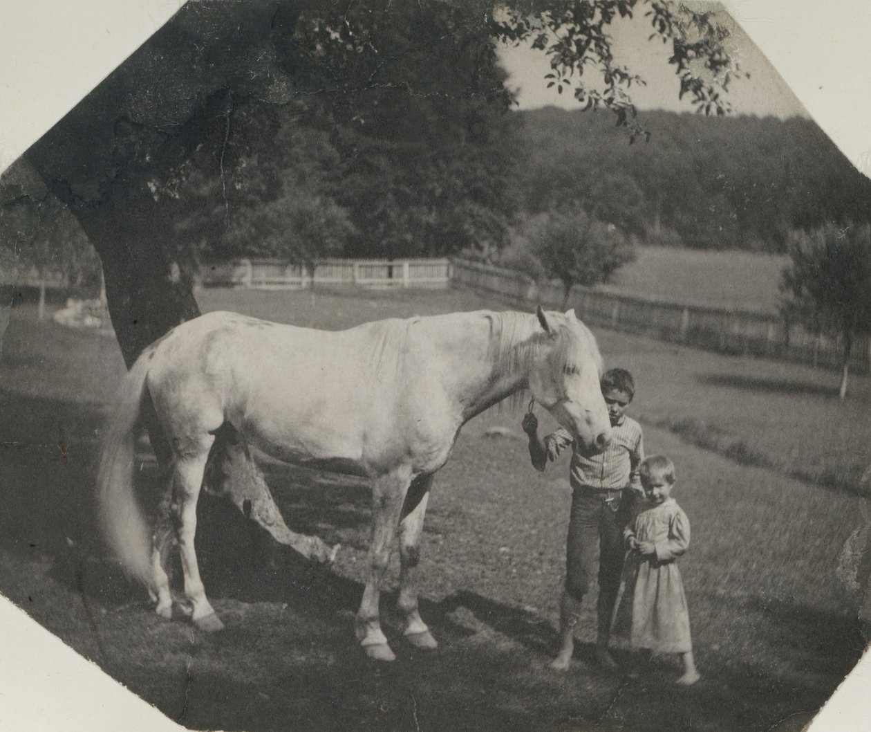 Le cheval Billy de Thomas Eakins et deux enfants Crowell à Avondale, Pennsylvanie, vers 1892 - Thomas Eakins