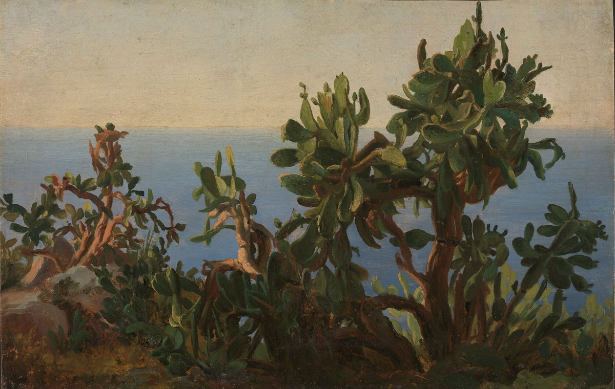 Cactus - Thomas Fearnley