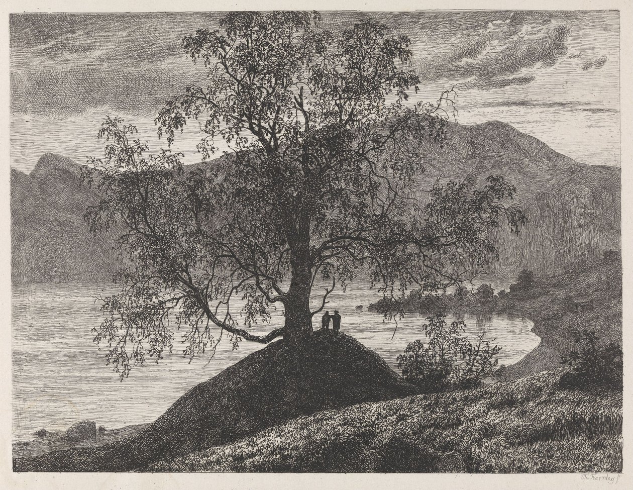 Le vieux bouleau à Slinde, Sognefjord - Thomas Fearnley