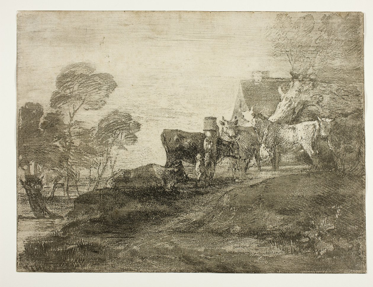 Paysage avec du bétail près d