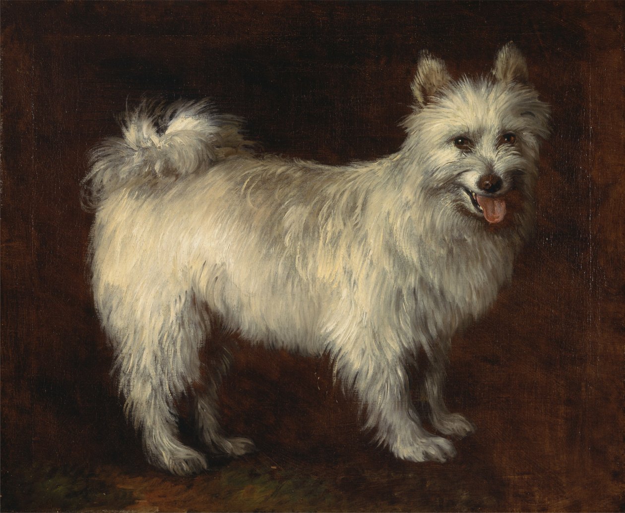 Chien Spitz - Thomas Gainsborough
