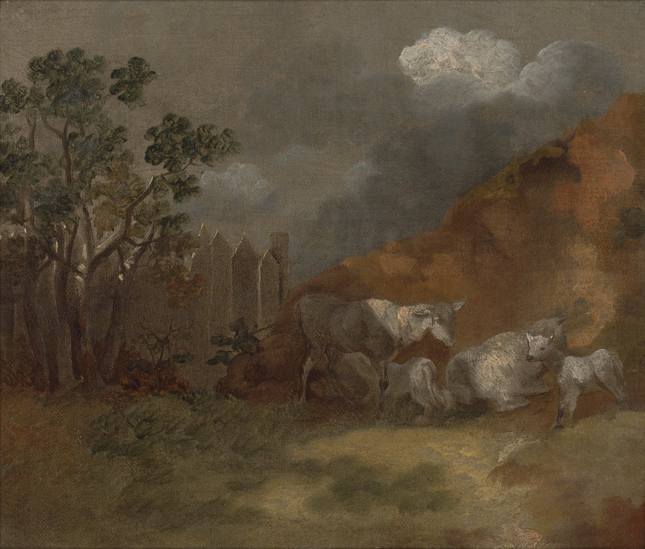 Moutons et agneaux près d