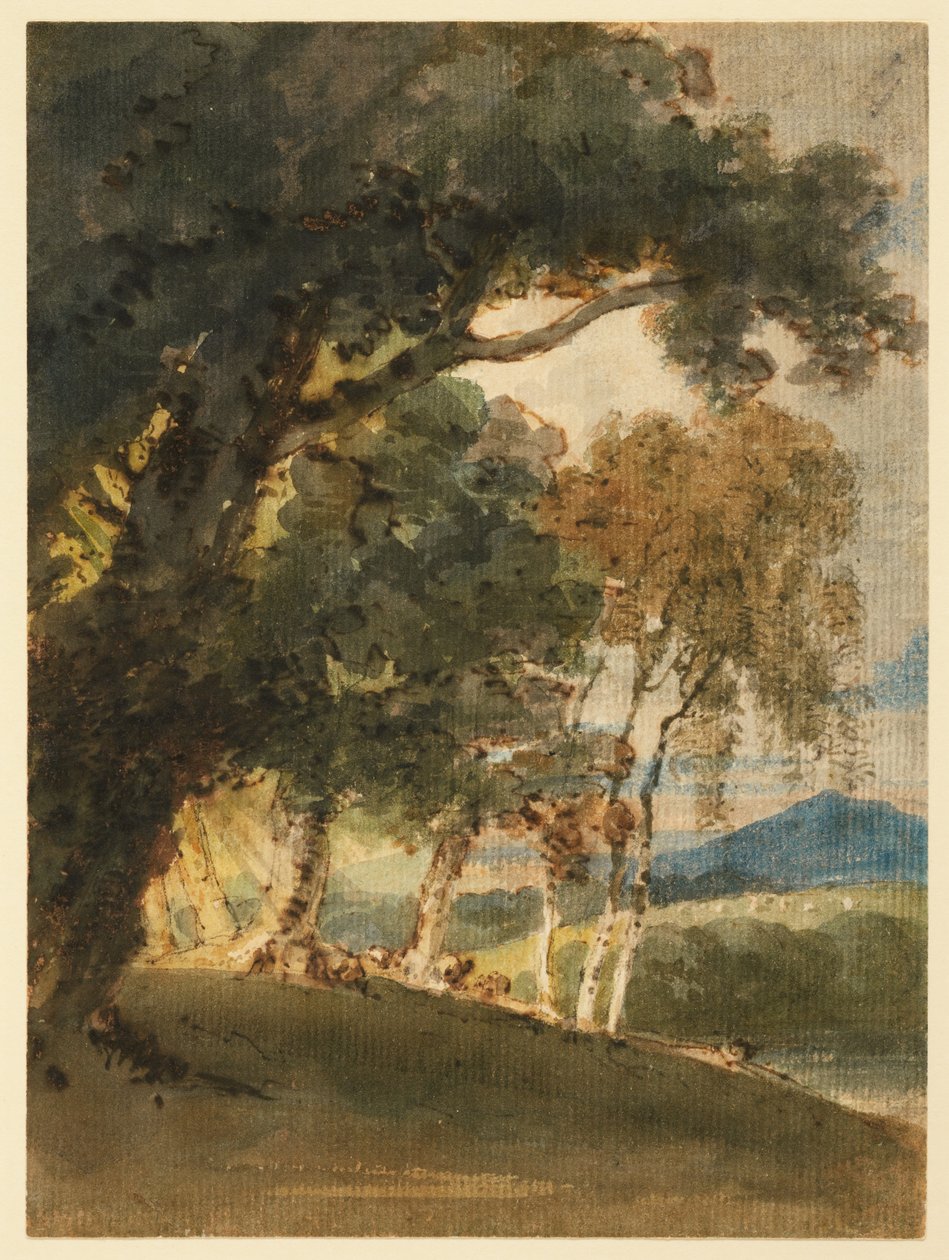 Une vallée fluviale et une colline lointaine vues à travers les arbres - Thomas Girtin