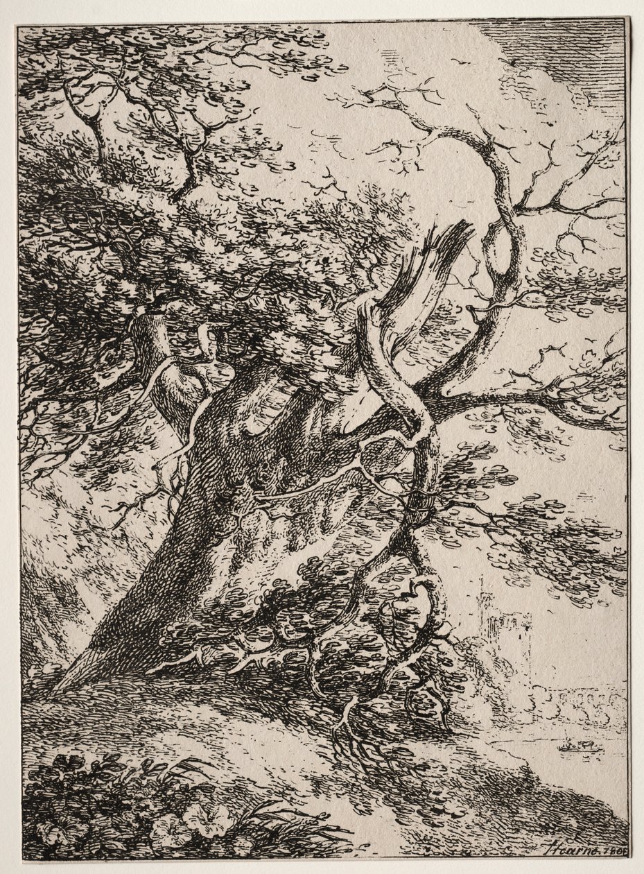 Spécimens de Polyautographie: Paysage avec un chêne - Thomas Hearne