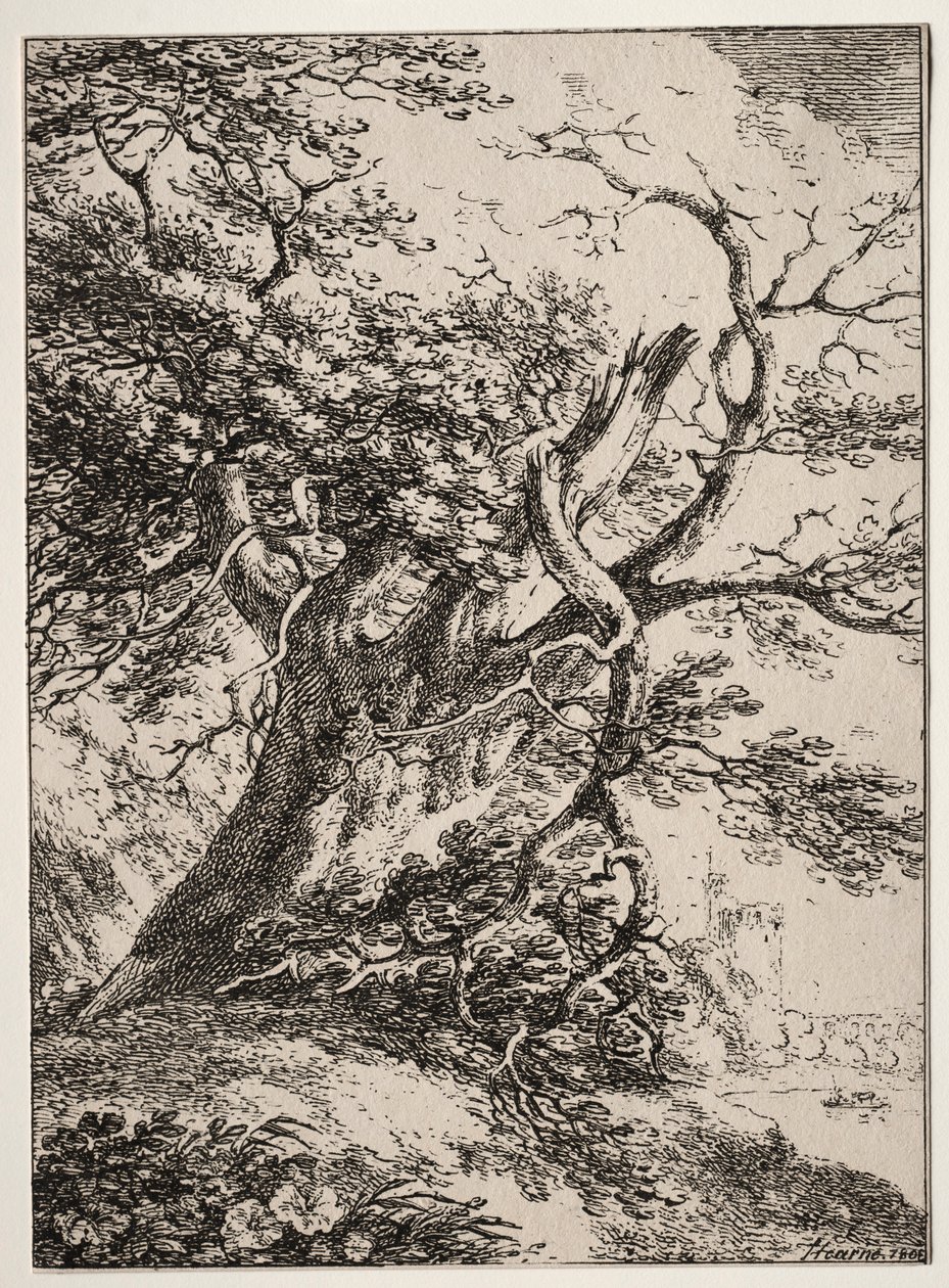Spécimens de polyautographie: Paysage avec un chêne - Thomas Hearne