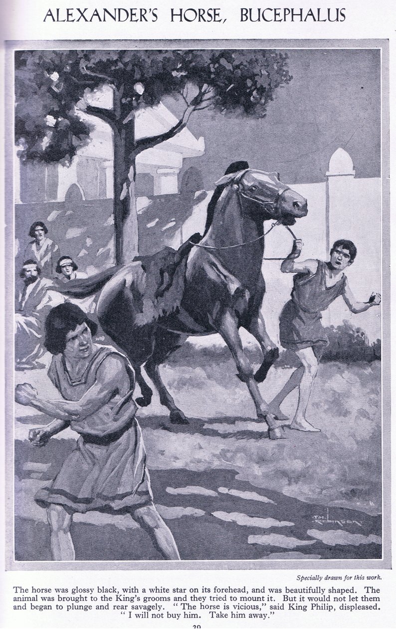 Le cheval d