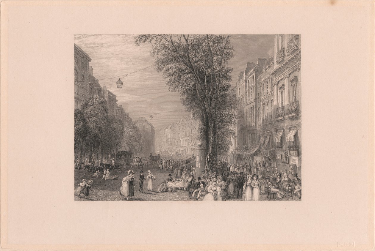 Boulevards, Paris - Thomas Higham