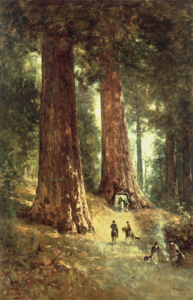 Dans les séquoias, 1899 - Thomas Hill