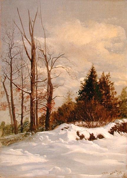 Paysage d