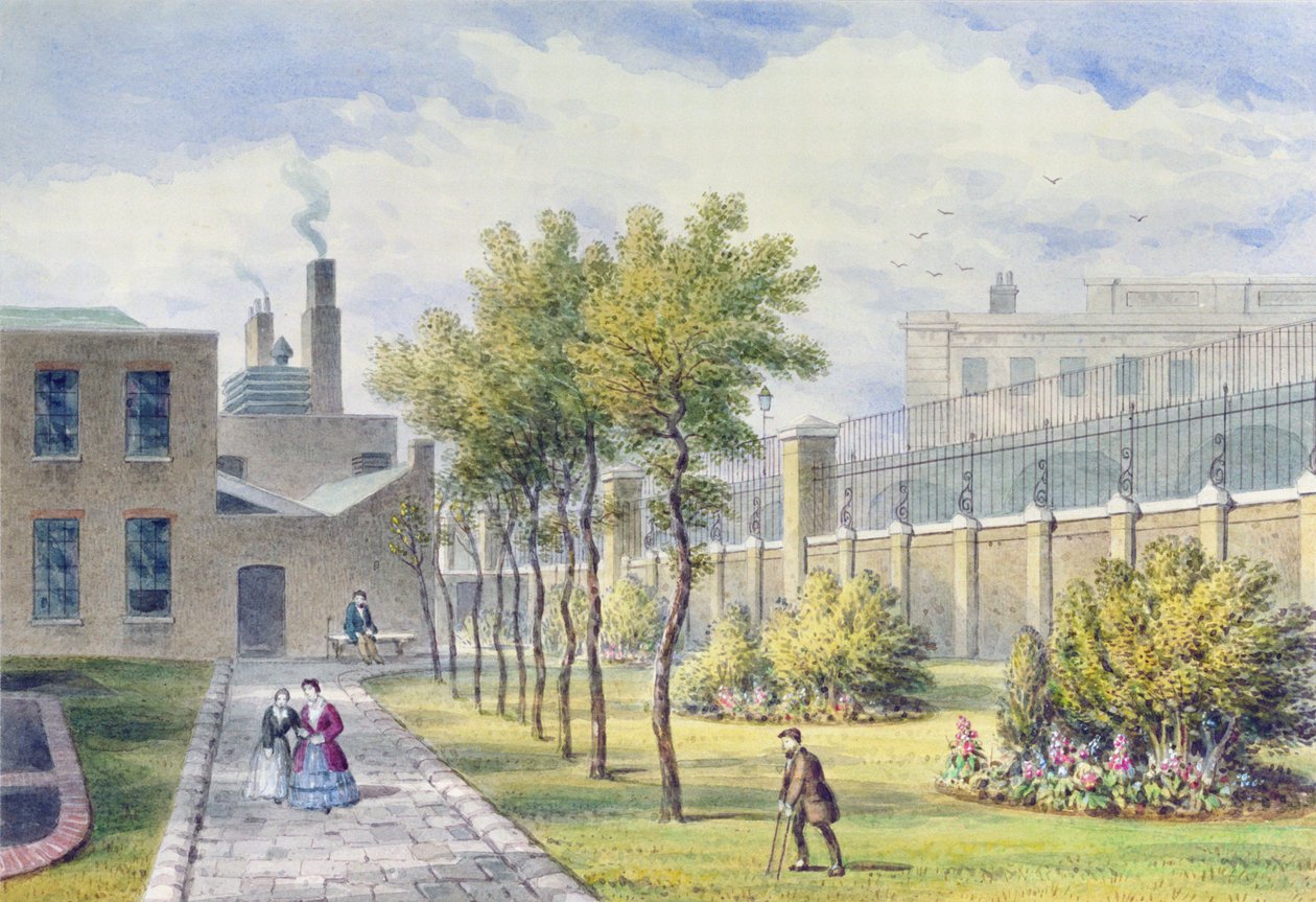 Jardin de l