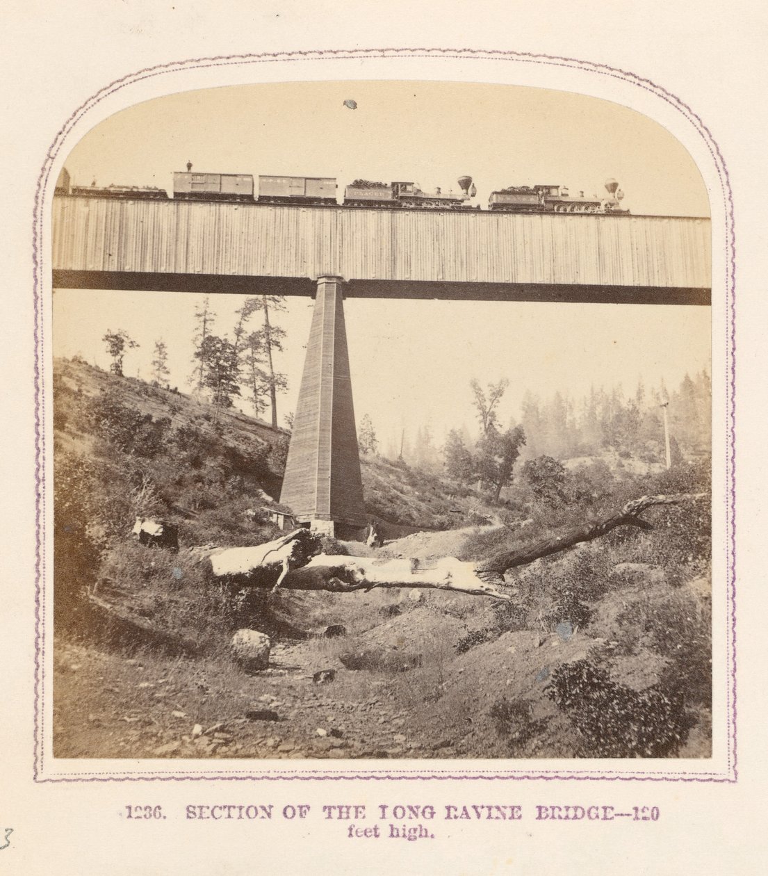 Section du pont de Long Ravine - Thomas Houseworth