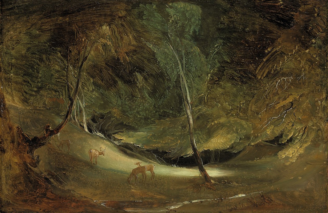 La Source du Manifold à Ilam Park - Thomas Lawrence