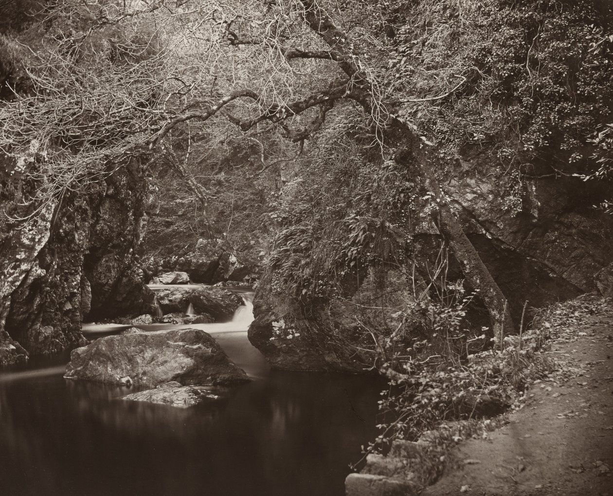 Le trou de Dargle, vers 1865 - Thomas Marcus Brownrigg