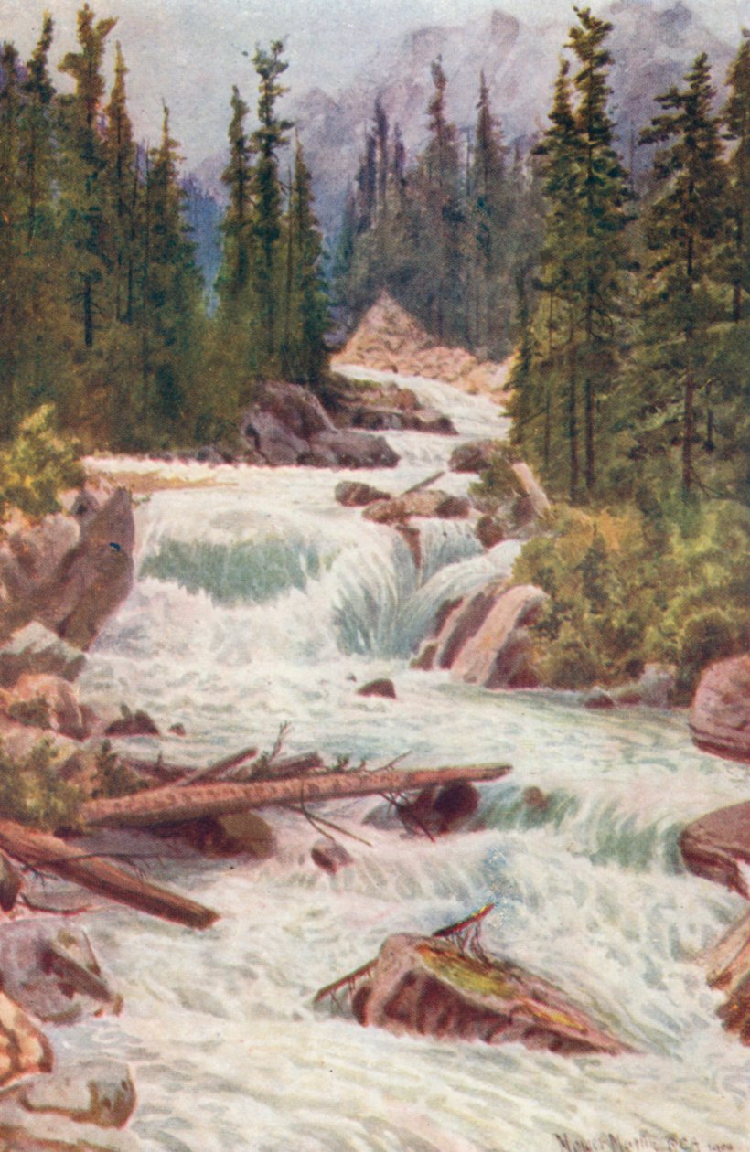 Chutes sur la rivière Illecillewaet, montagnes Selkirk, Colombie-Britannique (lithographie couleur) - Thomas Mower Martin