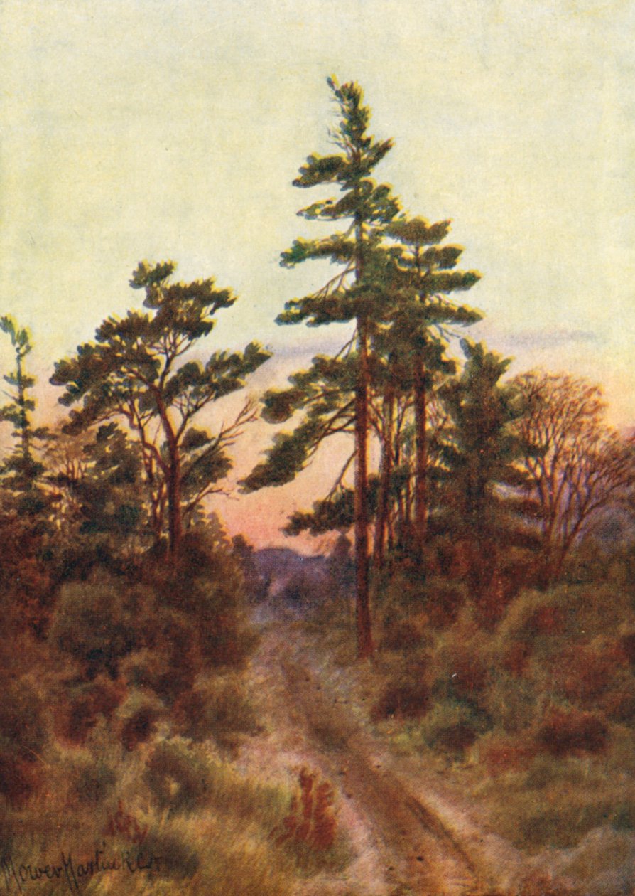 Route près de Victoria, soirée (lithographie couleur) - Thomas Mower Martin