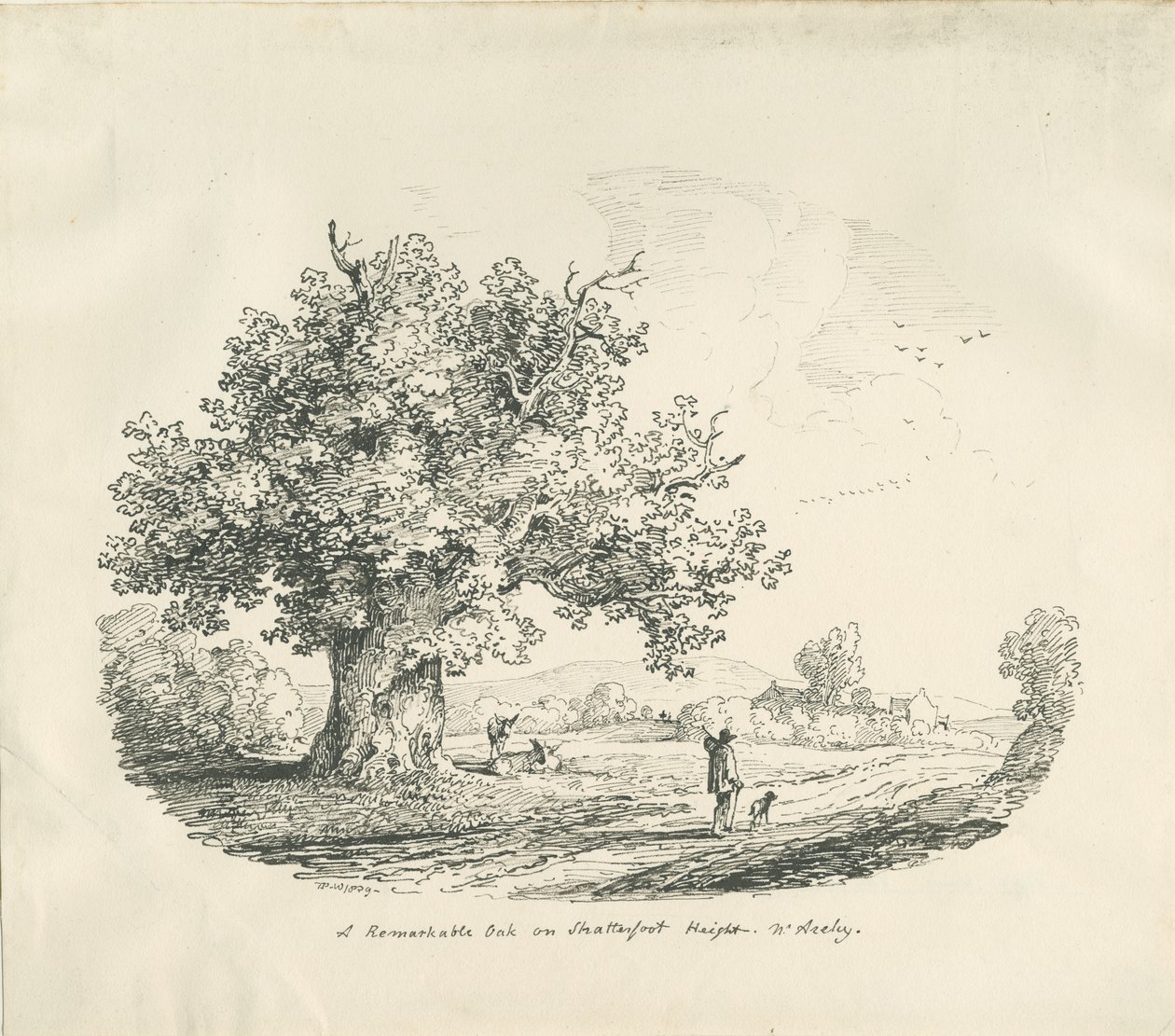 Arley - Shatterfort Height - Thomas Peploe Wood
