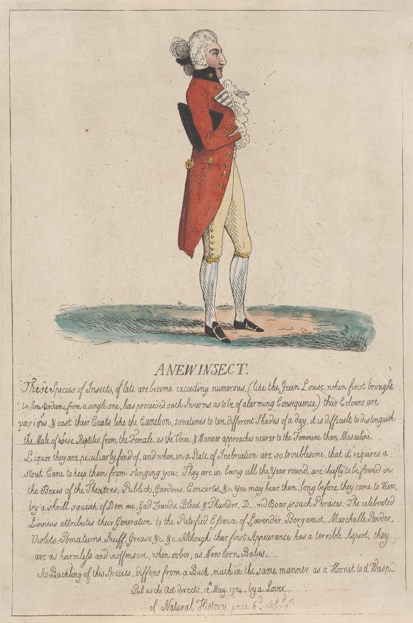 Un nouvel insecte - Thomas Rowlandson