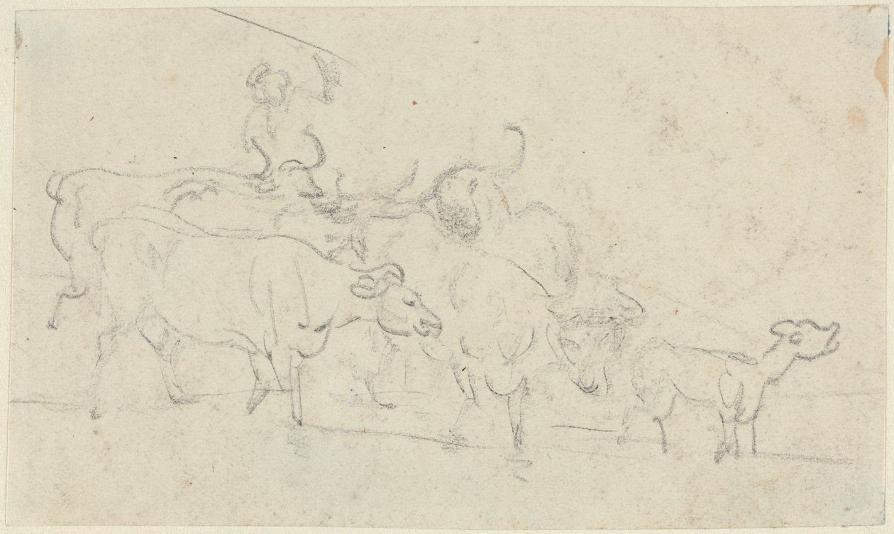 Bovins - Thomas Rowlandson