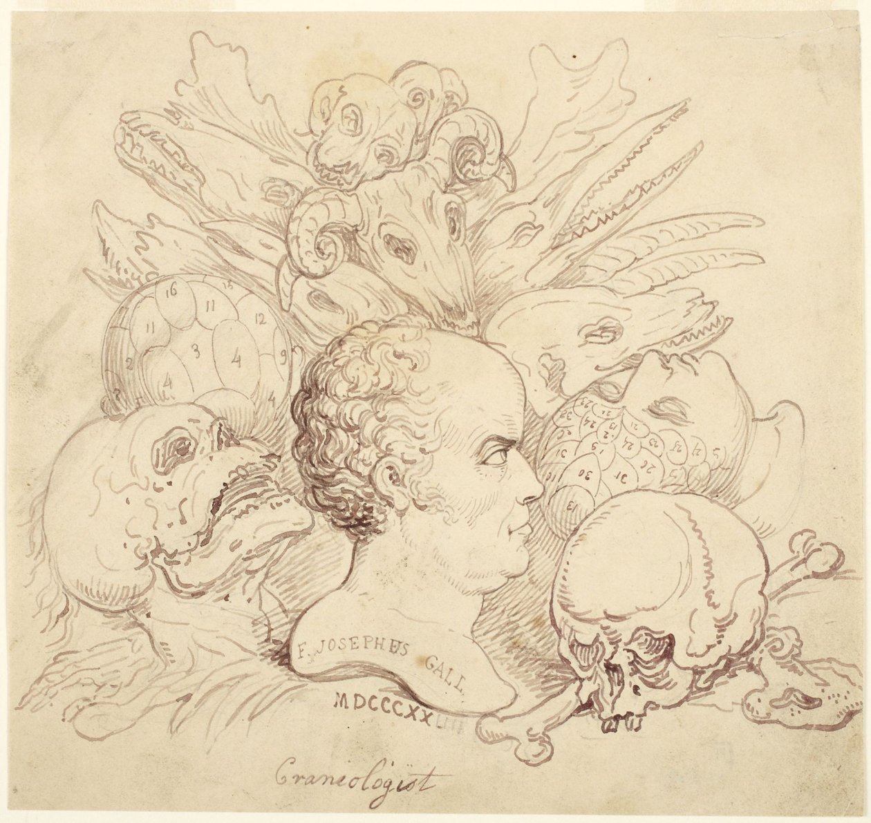 F. Josephus Gall, crâniologue - Thomas Rowlandson